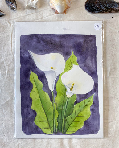 calla lilies watercolor painting