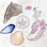 sea shells beach watercolor painting