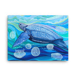 Leatherback Sea Turtle Canvas Print
