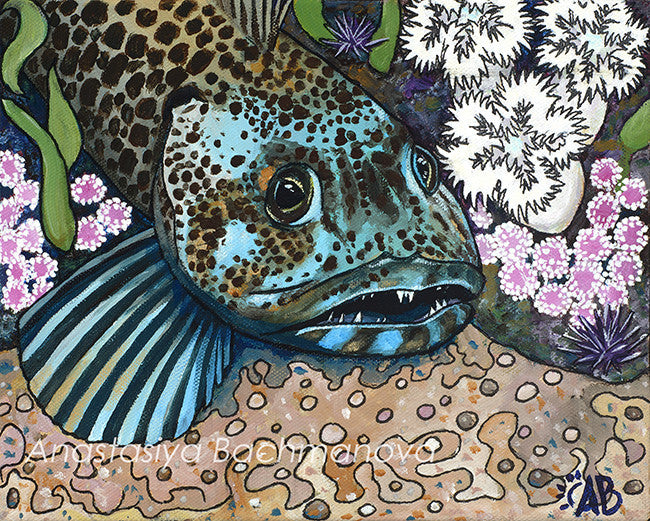 Lingcod Acrylic Painting – Follow the Sun