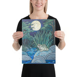 Moonlight Toad Canvas Print