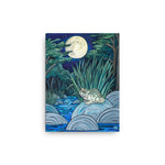 Moonlight Toad Canvas Print