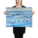 Moss Landing Shorebirds Canvas Print