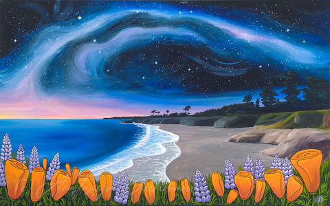 santa cruz dog beach it's beach milky way poppies painting