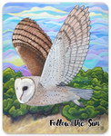barn owl sticker