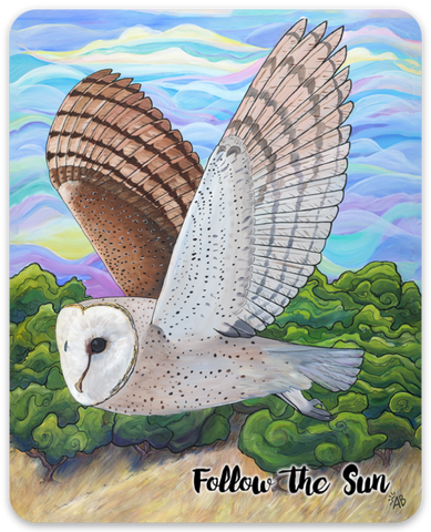 barn owl sticker