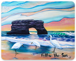 natural bridges santa cruz sticker