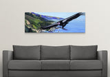 Flight of the Condor Canvas Print