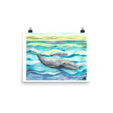 gray whale art