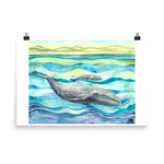 Gray Whale Art Print