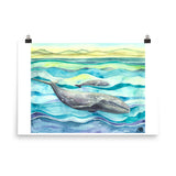 Gray Whale Art Print