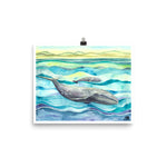 Gray Whale Art Print