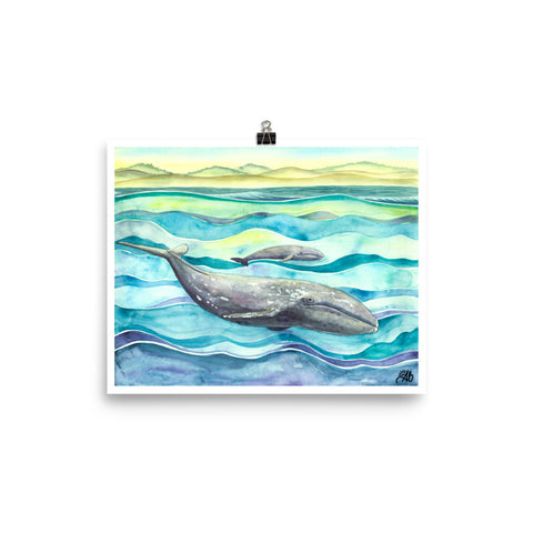 Gray Whale Art Print