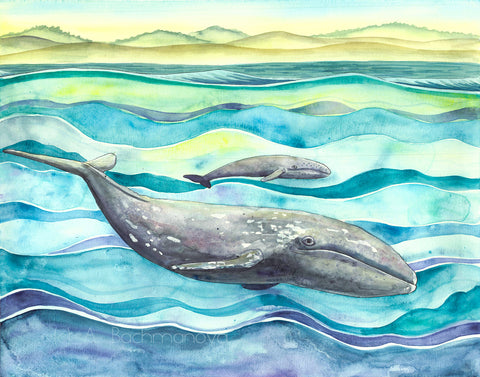 "Gray Whales" Original Watercolor Painting