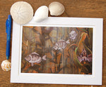 kelp forest fish art print