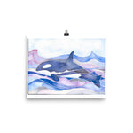 killer whale, orca, watercolor art print, follow the sun art