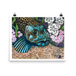 Lingcod Art Print