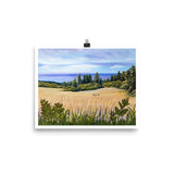 wilder ranch state park California landscape art print