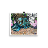 lingcod painting art print, anastasiya bachmanova