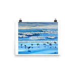 Moss Landing Shorebirds Art Print