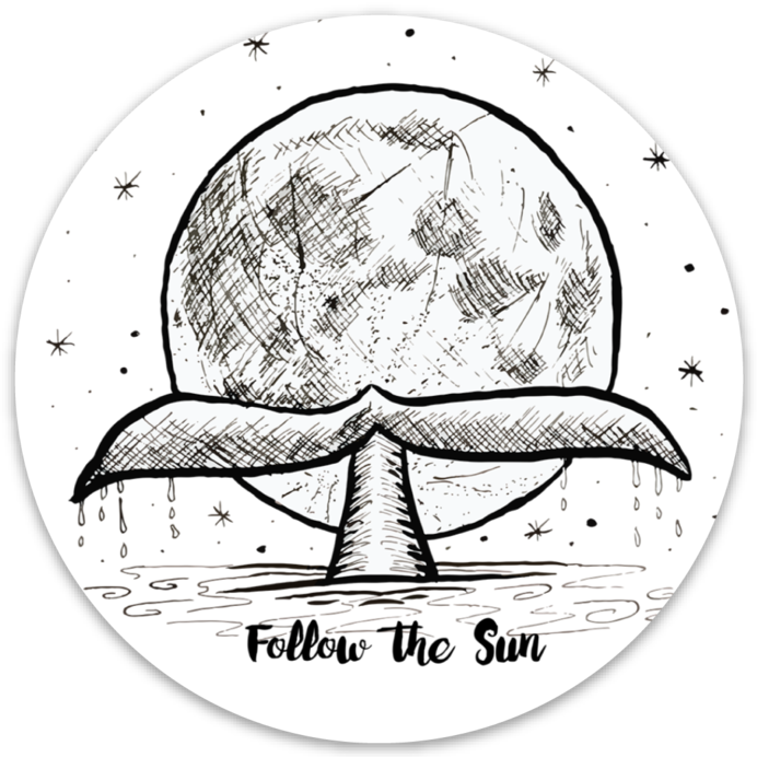 Line Stickers Moon Original