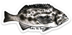 rockfish sticker ocean fishing gift